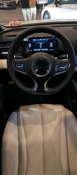 بي واي دي سيل 06 DM-i